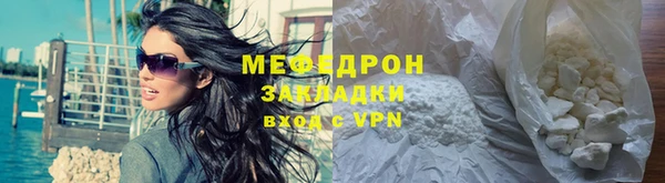 сатива Ельня