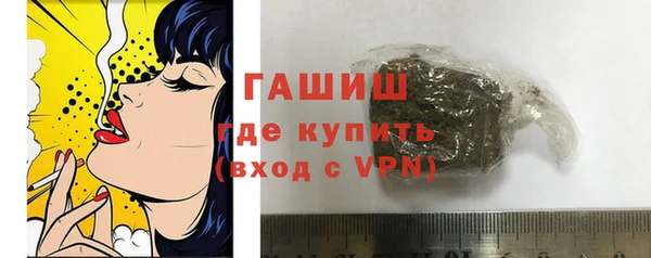 сатива Ельня
