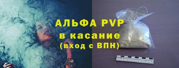 сатива Ельня