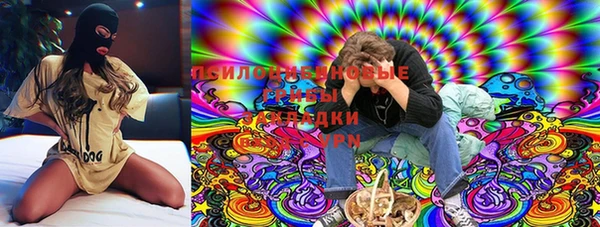 сатива Ельня