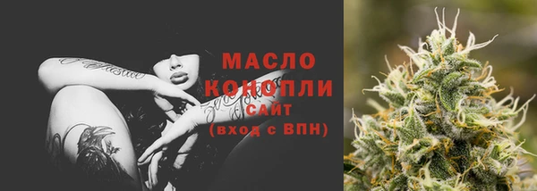 сатива Ельня