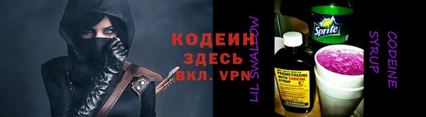сатива Ельня