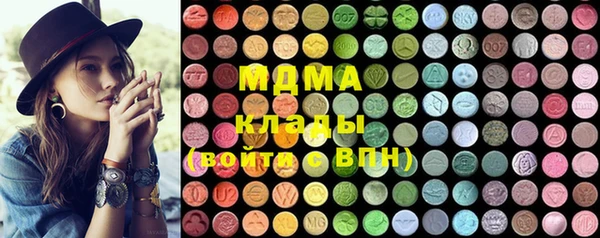 сатива Ельня