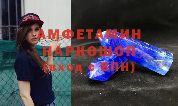 сатива Ельня