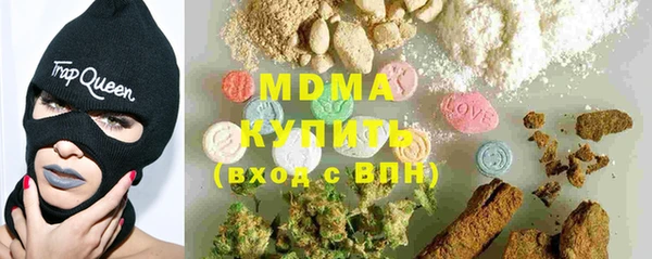 сатива Ельня