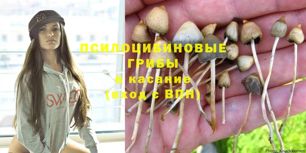 сатива Ельня
