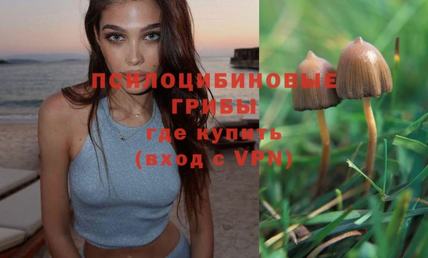 дживик Дмитриев