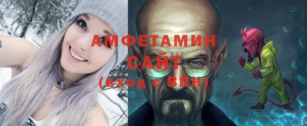 сатива Ельня