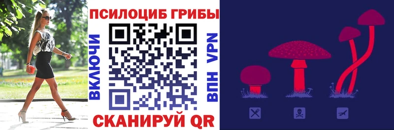 Галлюциногенные грибы Cubensis  ссылка на мегу как зайти  Назрань 