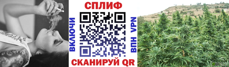 Конопля сатива  как найти   darknet формула  Назрань 